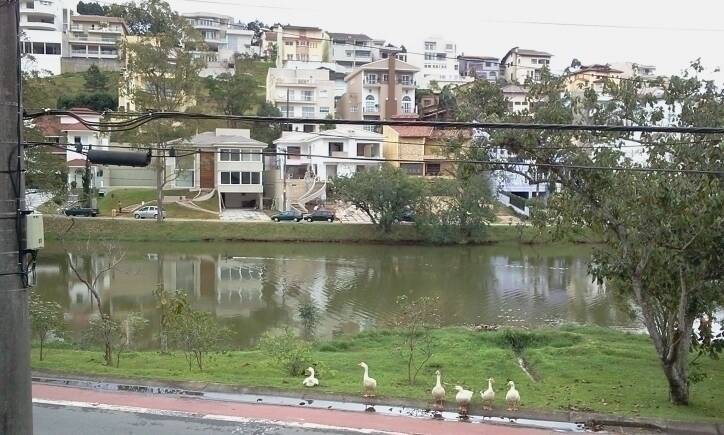 Venda, 4 dormitórios em Swiss Park - 16