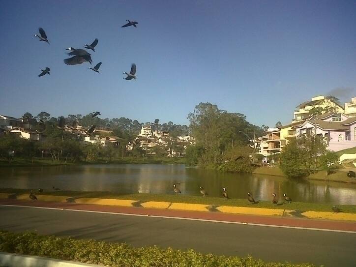 Venda, 4 dormitórios em Swiss Park - 25