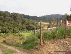 Área para Venda em São Bernardo do Campo - 2