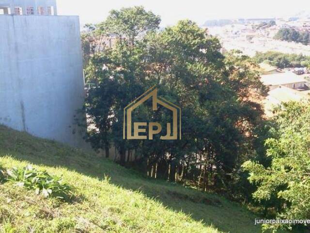 Terreno para Venda em São Bernardo do Campo - 4